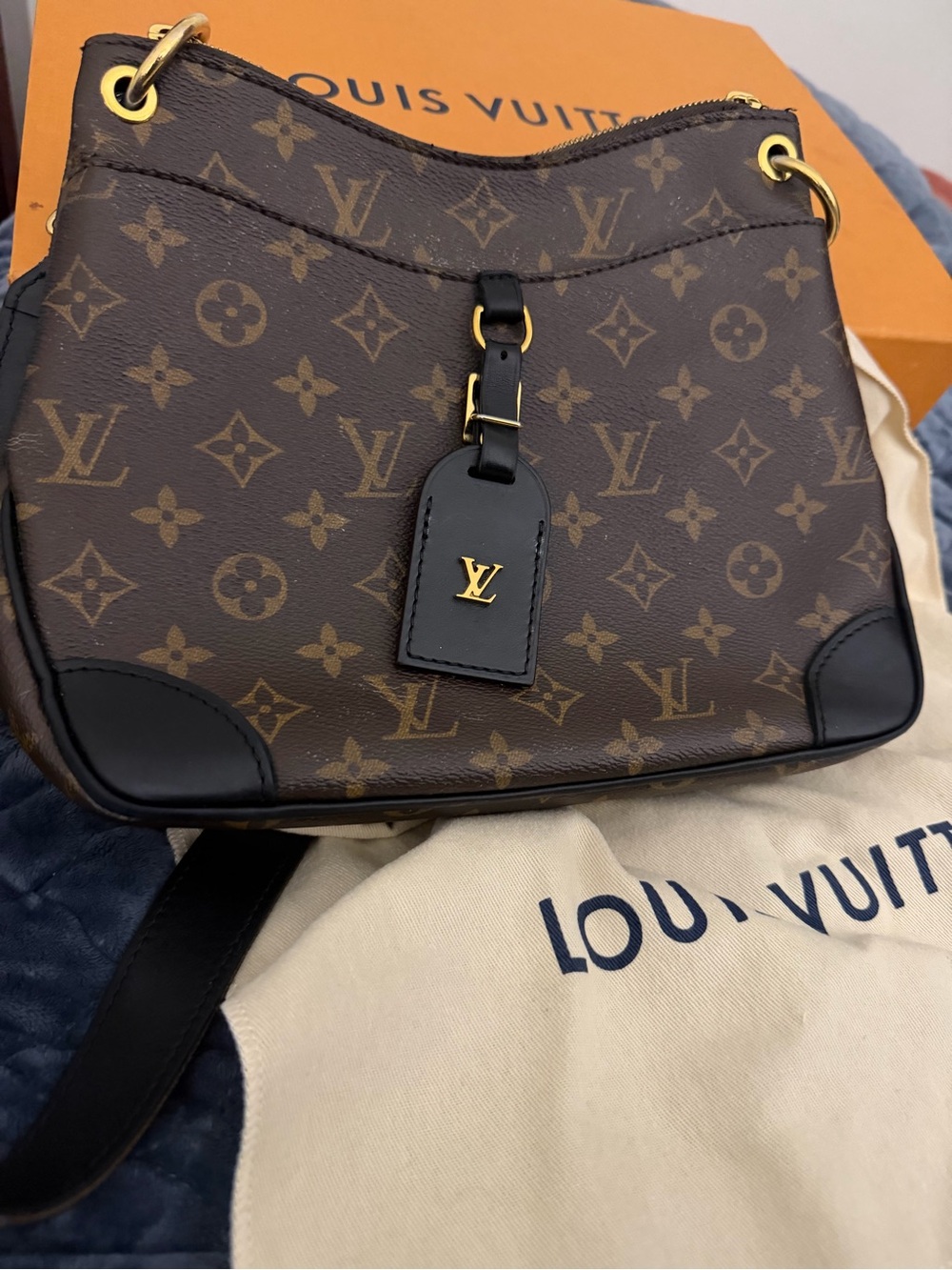 Louis Vuitton Monogram Odeon PM Crossbody Canvas Bag